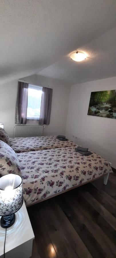 Apartman Karolina Rudanovac Bagian luar foto
